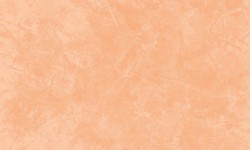 Decorazza STUCCO VENEZIANO / Цвет #SV  10-20